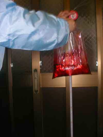 �T���W�b�v�� ���j�p�b�N ��700cc�̐������90cm�̍������痎�������j�܏󋵂𒲂ׂ�