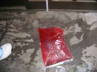 ���j�p�b�N �����������Ƃ���