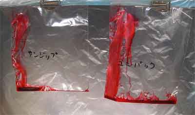 �`���b�N�t���|���� �s���z�[���������i