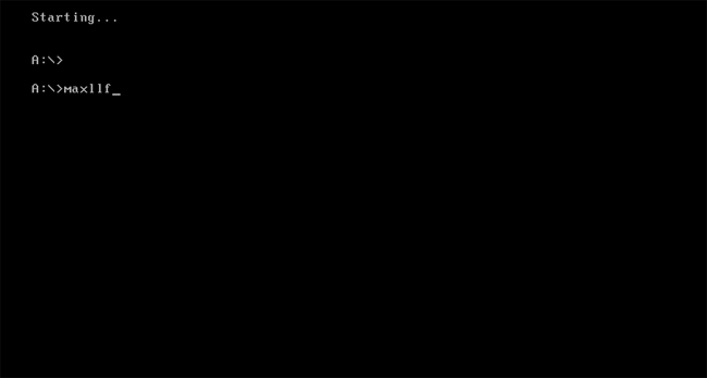 �����t�H�[�}�b�g�c�[��Maxllf.exe���s���@2