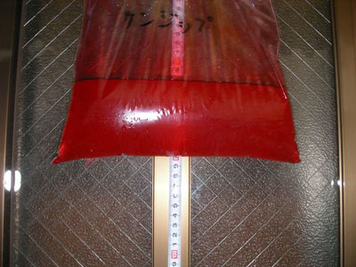 �`���b�N�t���|���� �T���W�b�v110cm���痎������