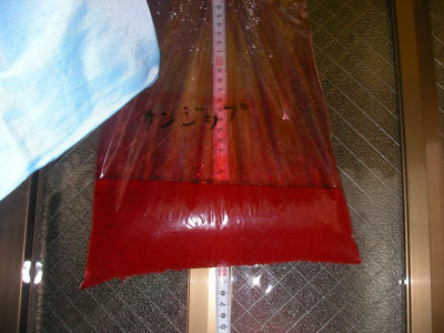 �`���b�N�t���|���� �T���W�b�v130cm���痎������