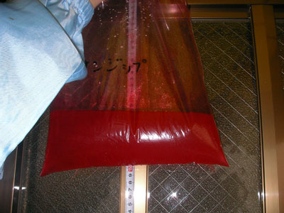 �`���b�N�t���|���� �T���W�b�v150cm���痎������