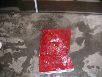 �`���b�N�t���|���� �T���W�b�v90�`150cm���痎����������